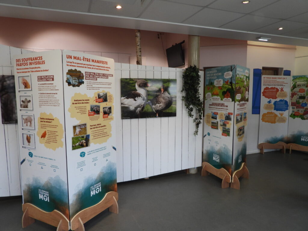 Exposition Les animaux, l'élevage et moi à Nancy