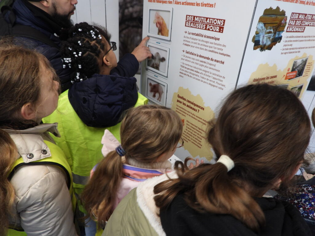 Exposition Les animaux, l'élevage et moi à Nancy